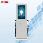 Free Standing Waterproof Digital Signage Lcd Display For Elcetric Car Charging DDW-AD4901S